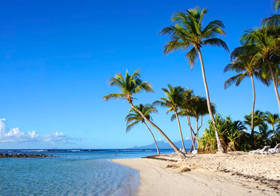 plage avec palmiers et ocean